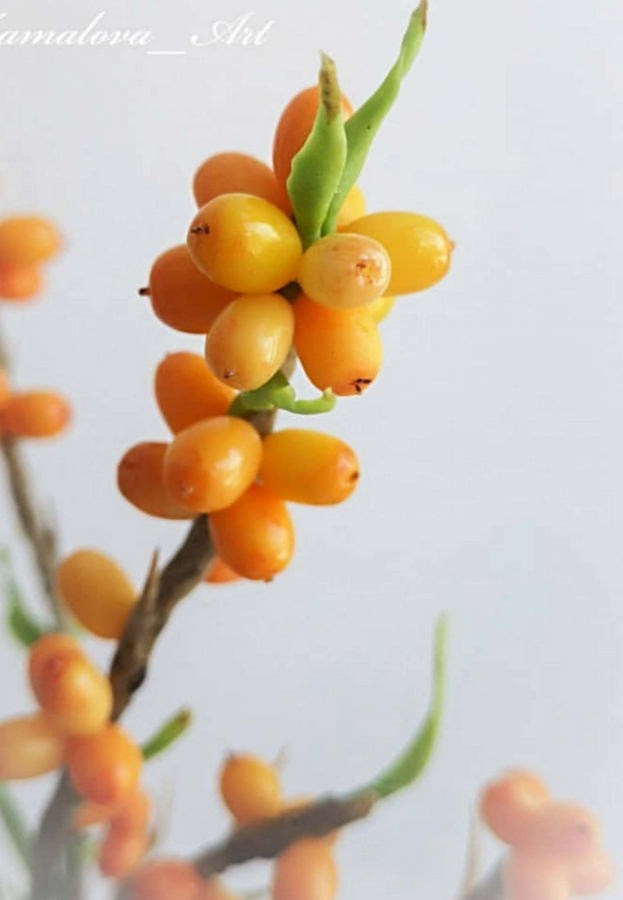 Замалова Елена Олеговна. Галерея участников Российской Премии Искусств