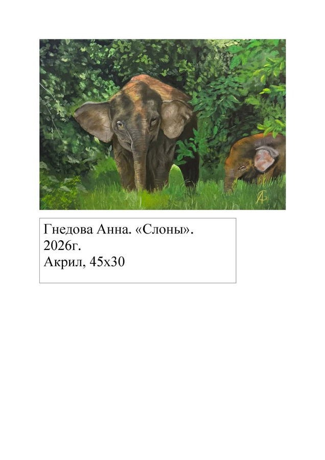 Гнедова Анна Сергеевна. Галерея участников Российской Премии Искусств