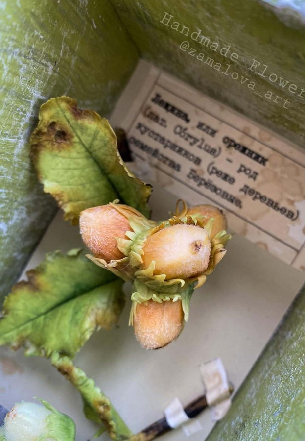 Замалова Елена Олеговна. Галерея участников Российской Премии Искусств