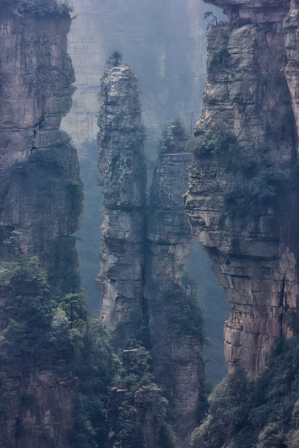 Чазов Александр Юрьевич. Галерея участников Российской Премии Искусств