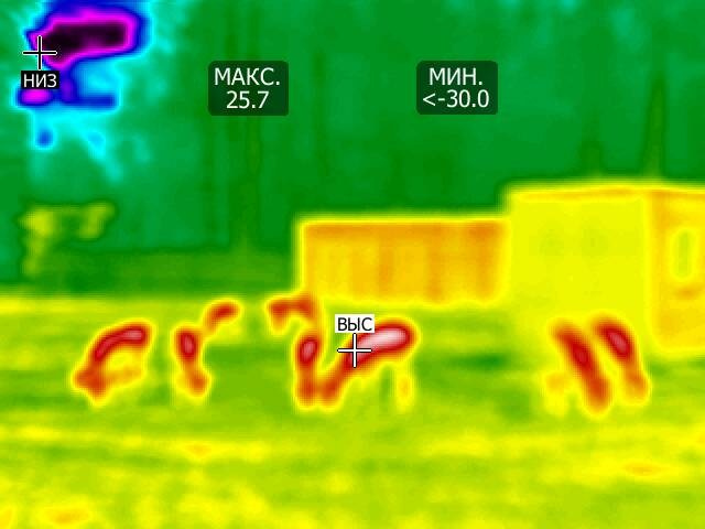 56,0123320, 38,39001773. Козлова Екатерина. Междисциплинарная визуальная художница