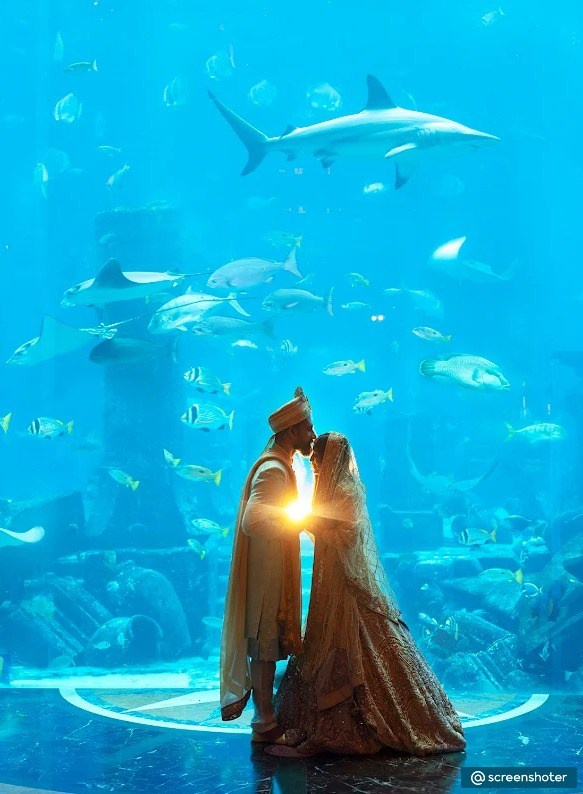 Референсы свадебные. Фотограф, видеограф Пятигорск, Ставрополь, Ессентуки, Petlyakovs_photo