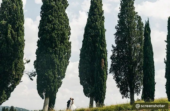 Референсы свадебные. Фотограф, видеограф Пятигорск, Ставрополь, Ессентуки, Petlyakovs_photo