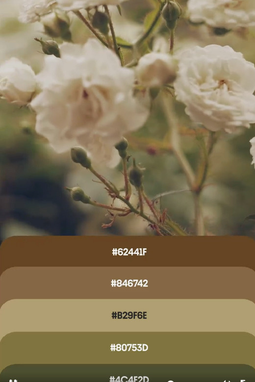 Полезная информация. Фотограф беременности и семейный фотограф в Могилеве, Минске Елена Шин