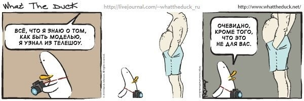 What The Duck Comic Strips. Фотограф в Москве. Екатерина Митина