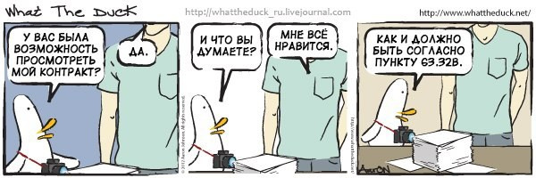 What The Duck Comic Strips. Фотограф в Москве. Екатерина Митина
