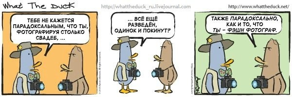 What The Duck Comic Strips. Фотограф в Москве. Екатерина Митина