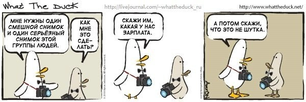 What The Duck Comic Strips. Фотограф в Москве. Екатерина Митина