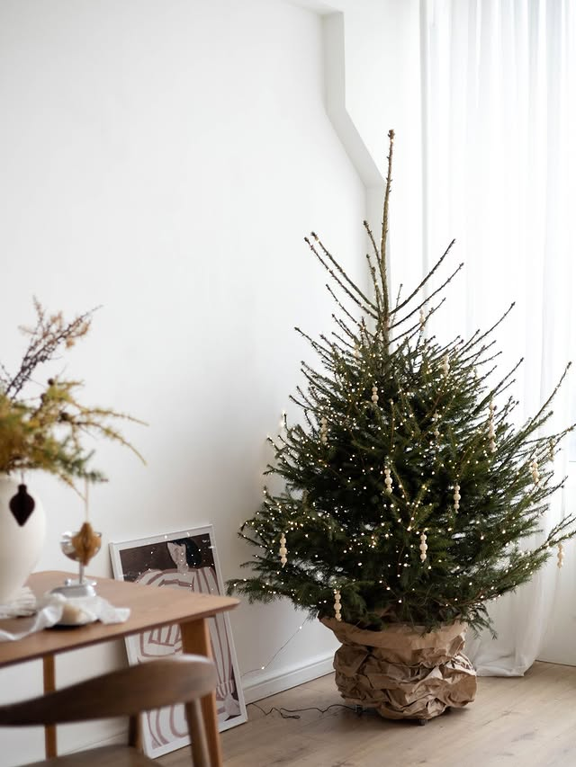 Фотостудия Поле — всё для комфортной и красивой съёмки. Фотограф в Минске Людмила Дутко