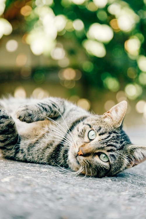 Путешествие в Стамбул