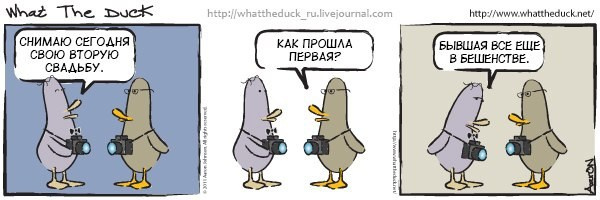 What The Duck Comic Strips. Фотограф в Москве. Екатерина Митина