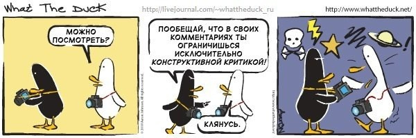 What The Duck Comic Strips. Фотограф в Москве. Екатерина Митина