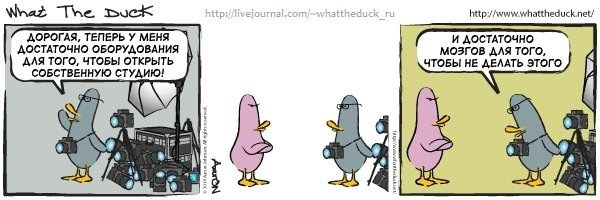 What The Duck Comic Strips. Фотограф в Москве. Екатерина Митина