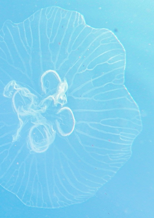 Коллективные зины. Фотограф Анна Мельникова