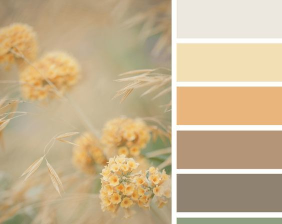 Полезная информация. Фотограф беременности и семейный фотограф в Могилеве, Минске Елена Шин