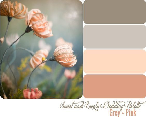 Полезная информация. Фотограф беременности и семейный фотограф в Могилеве, Минске Елена Шин