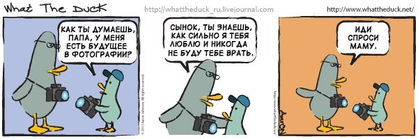 What The Duck Comic Strips. Фотограф в Москве. Екатерина Митина