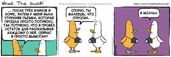 What The Duck Comic Strips. Фотограф в Москве. Екатерина Митина