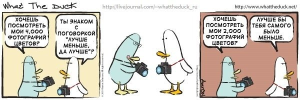 What The Duck Comic Strips. Фотограф в Москве. Екатерина Митина