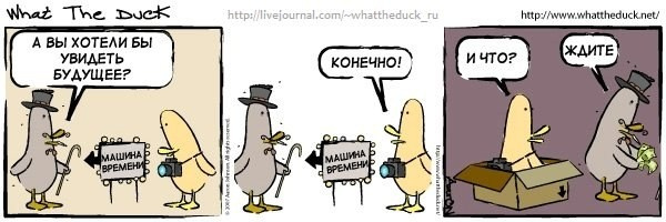 What The Duck Comic Strips. Фотограф в Москве. Екатерина Митина