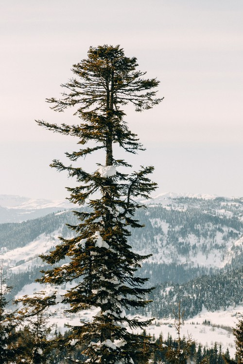 Горнолыжный курорт Годердзи