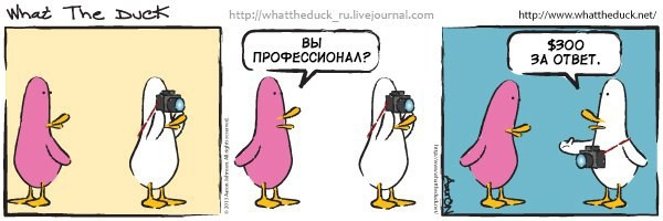 What The Duck Comic Strips. Фотограф в Москве. Екатерина Митина