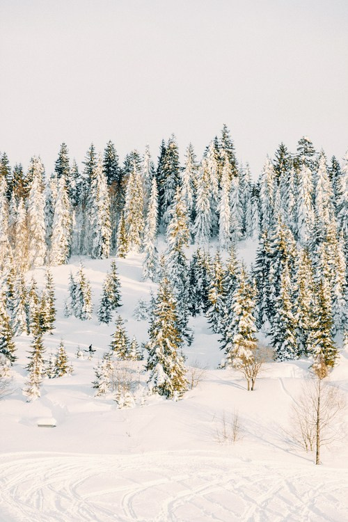 Горнолыжный курорт Годердзи