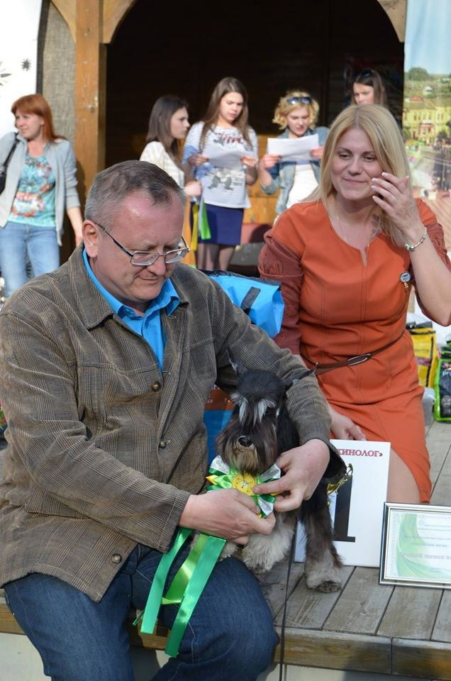 #delinsobalance #цвергшнауцер #питомникцвергшнауцеров #цвергшнауцерыбеларуси #питомник цвергшнауцеров беларусь