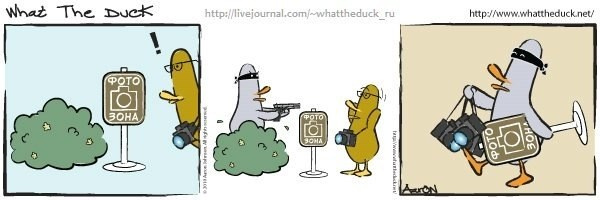 What The Duck Comic Strips. Фотограф в Москве. Екатерина Митина