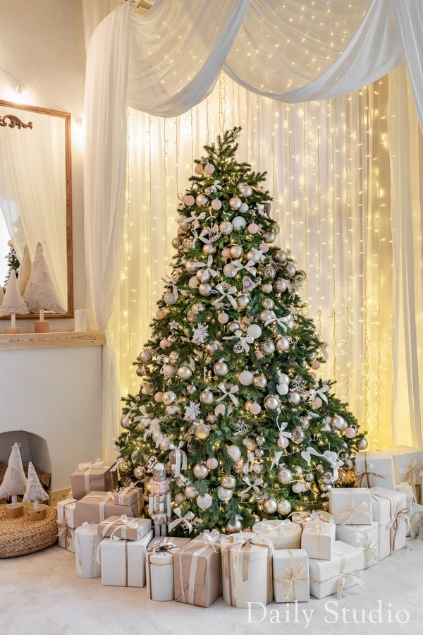 Новогодняя фотосессия в СПб: Гид по залам фотостудиям Питера. Отличные фотографии своих близких, своего бизнеса или даже себя. СПб