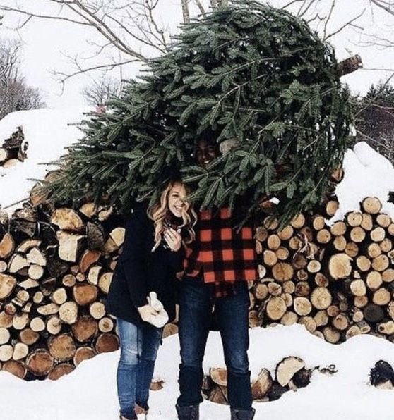 Хочу новогодние фотографии