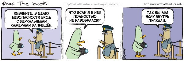 What The Duck Comic Strips. Фотограф в Москве. Екатерина Митина