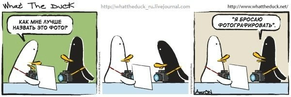 What The Duck Comic Strips. Фотограф в Москве. Екатерина Митина