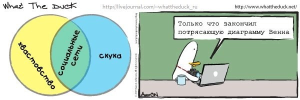 What The Duck Comic Strips. Фотограф в Москве. Екатерина Митина
