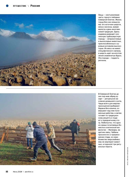 Северная Осетия, Камунта