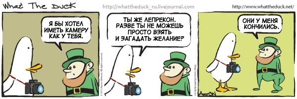 What The Duck Comic Strips. Фотограф в Москве. Екатерина Митина