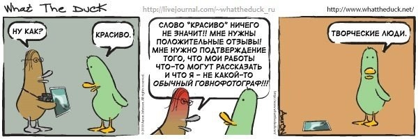 What The Duck Comic Strips. Фотограф в Москве. Екатерина Митина