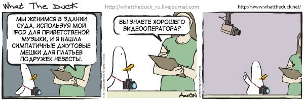 What The Duck Comic Strips. Фотограф в Москве. Екатерина Митина