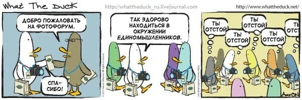 What The Duck Comic Strips. Фотограф в Москве. Екатерина Митина