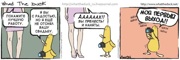 What The Duck Comic Strips. Фотограф в Москве. Екатерина Митина