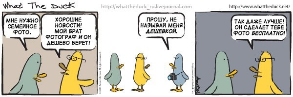 What The Duck Comic Strips. Фотограф в Москве. Екатерина Митина