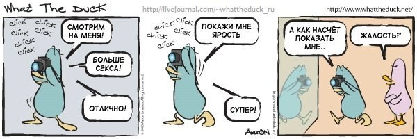 What The Duck Comic Strips. Фотограф в Москве. Екатерина Митина