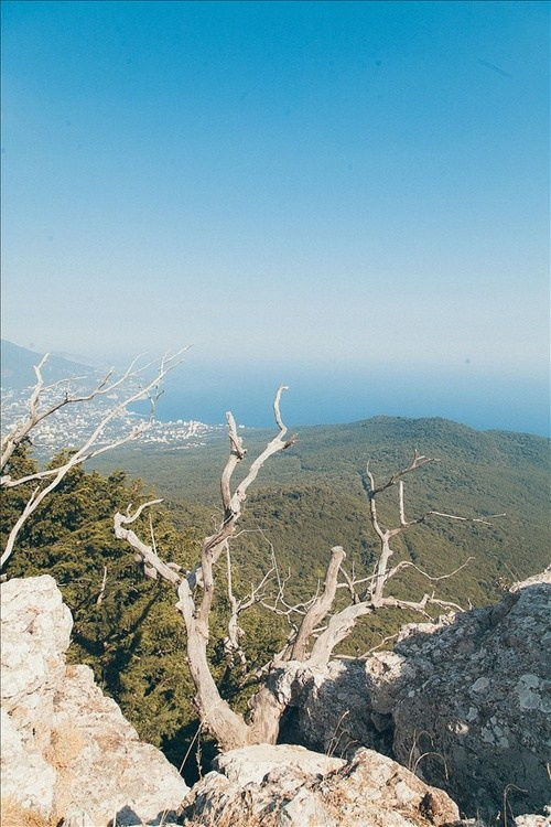 Путешествие по южному берегу Крыма