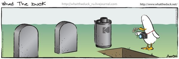 What The Duck Comic Strips. Фотограф в Москве. Екатерина Митина