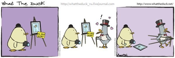 What The Duck Comic Strips. Фотограф в Москве. Екатерина Митина