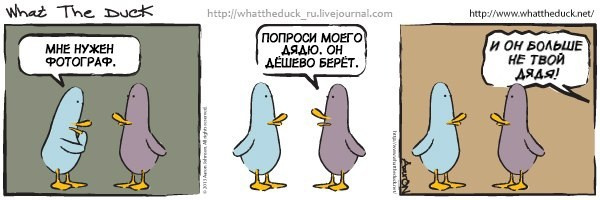 What The Duck Comic Strips. Фотограф в Москве. Екатерина Митина