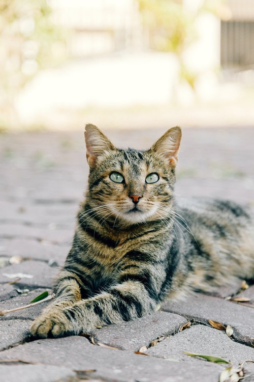 Путешествие в Стамбул