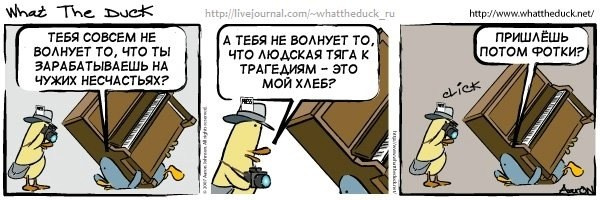 What The Duck Comic Strips. Фотограф в Москве. Екатерина Митина