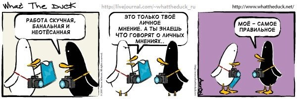 What The Duck Comic Strips. Фотограф в Москве. Екатерина Митина