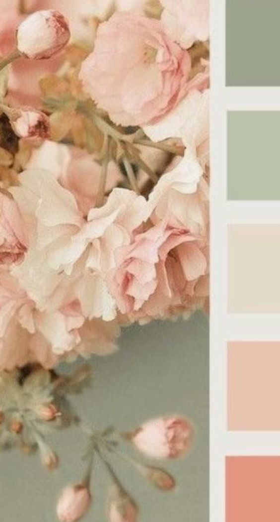 Полезная информация. Фотограф беременности и семейный фотограф в Могилеве, Минске Елена Шин